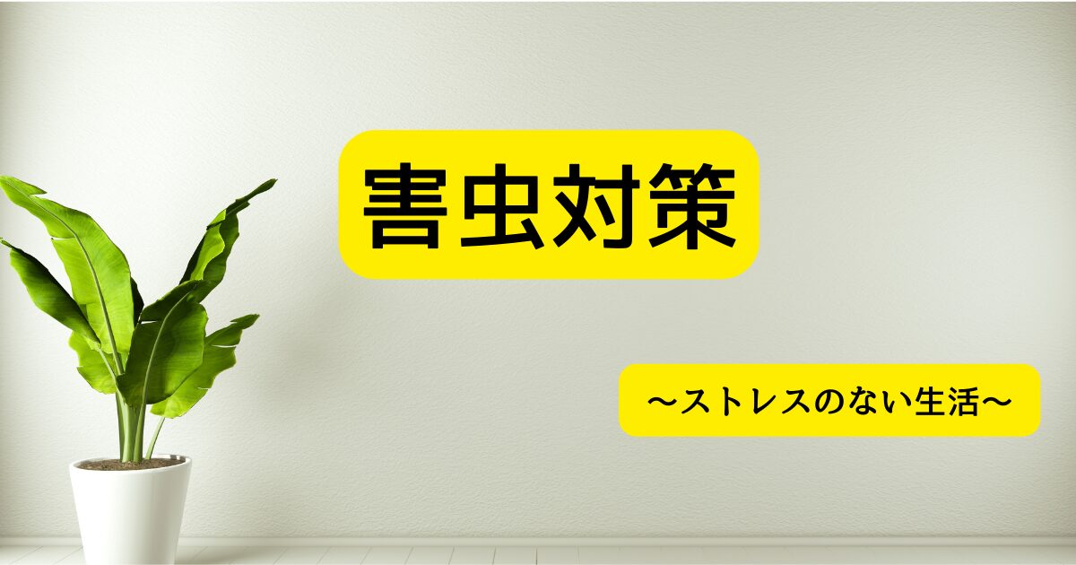 一人暮らしおすすめアイテム